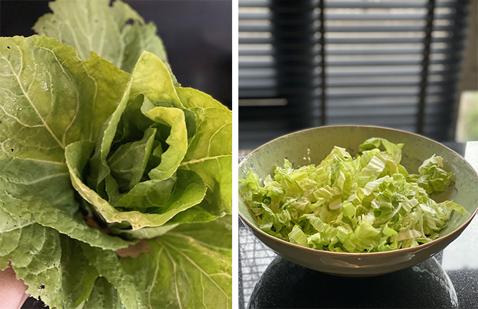 Salade du jardin