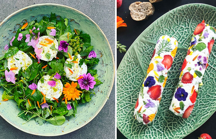 Fleurs comestibles  Du jardin à l'assiette zoom sur 20 fleurs