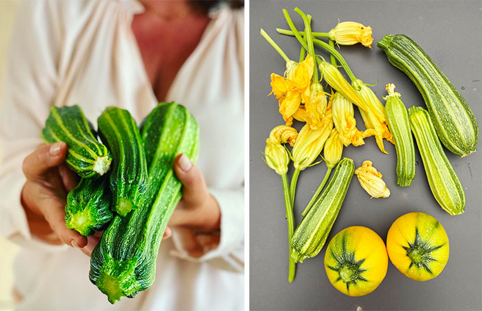 Courgette ou courge d'été