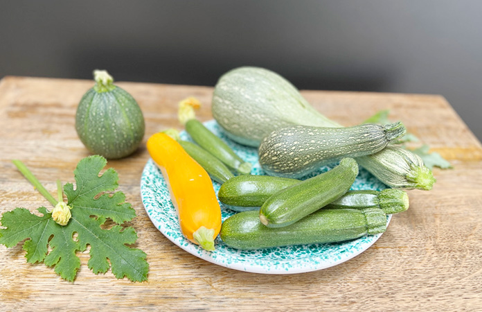 Courgettes du jardin aux formes irrégulières
