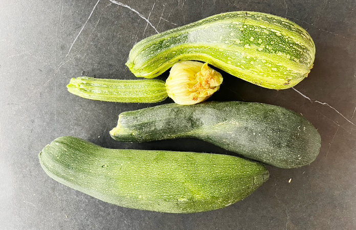 Récolte de courgettes du jardin de différentes tailles