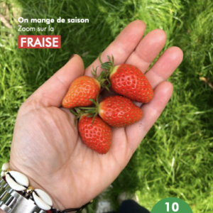 cahier de recettes fraise