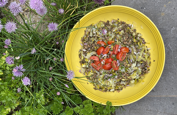 Salade d’épeautre lentilles