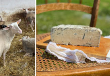 Pâte persillée