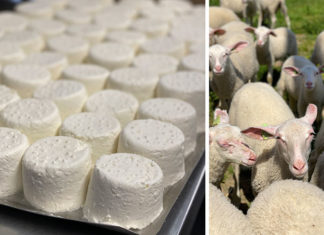 Fromage frais