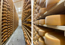 La pâte pressée cuite