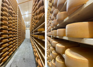 La pâte pressée cuite