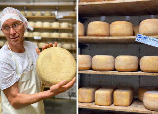 Pâte pressée non cuite
