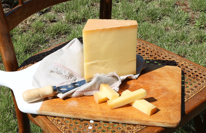 Pâte pressée cuite