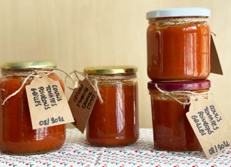 Stérilisation - Conserve de coulis tomates et poivrons