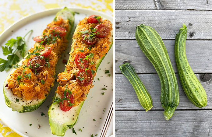 Courgette farcie au thon