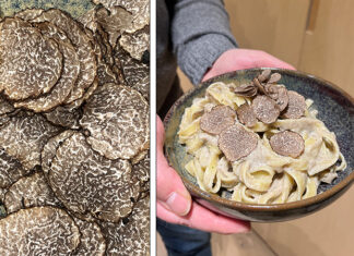 Pâtes crème de champignons