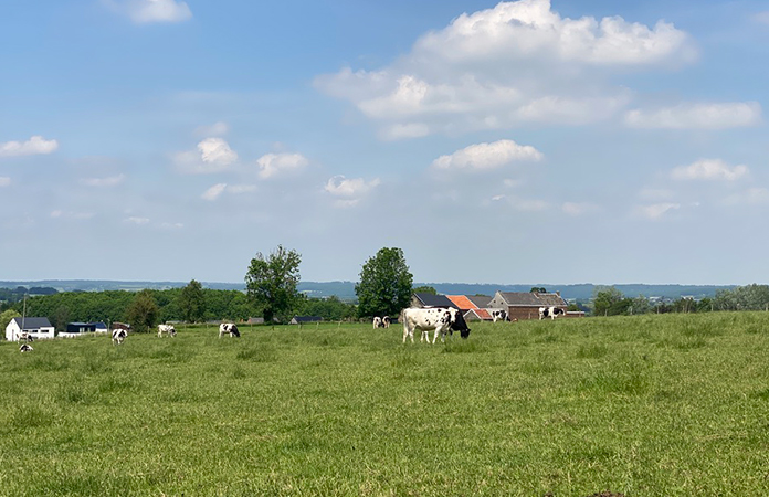 La viande de bœuf