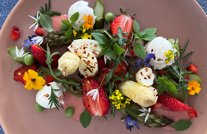 salade de mai
