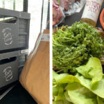 Eat's local plateforme locavore