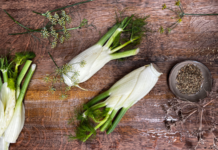 Le fenouil ! Légume ou épice ?