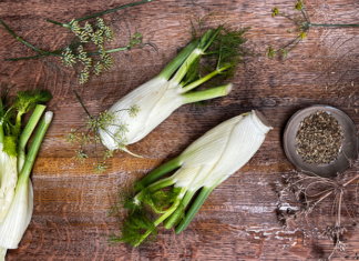 Le fenouil ! Légume ou épice ?
