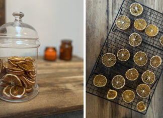 Comment faire sécher des rondelles d’orange ? 