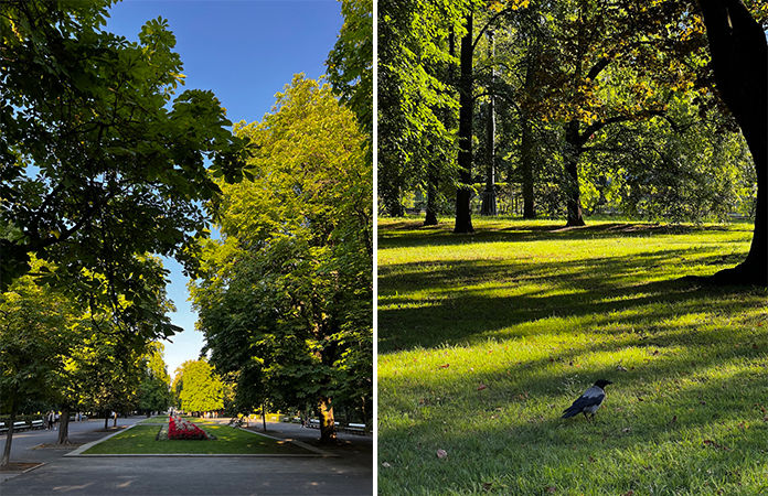 parc varsovie