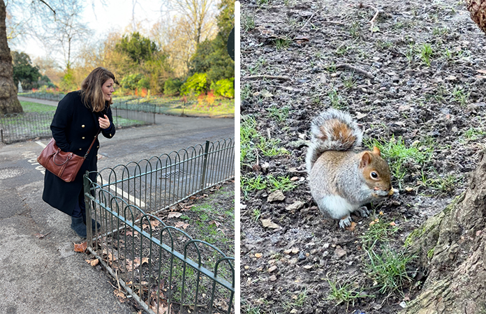 Parc Londres écureuil 