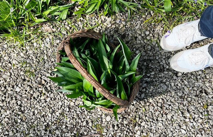 Comment savoir si les herbes sont sèches ?