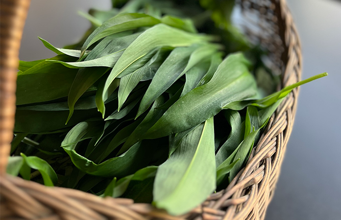 Comment savoir si les herbes sont sèches ?