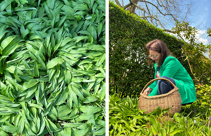 Comment savoir si les herbes sont sèches ?