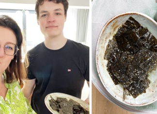 Comment préparer des chips de nori en quelques minutes ?