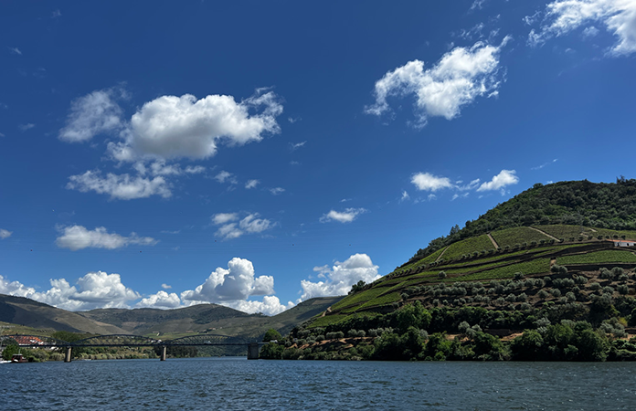 Valée du Douro Pinhao