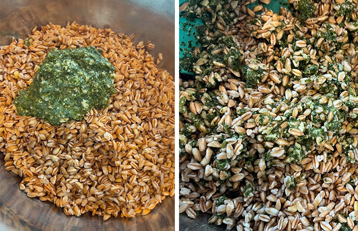 Salade d'épeautre au pesto à emporter en pique-nique !