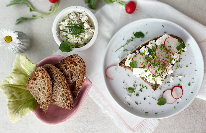 Tartines au fromage frais et radis