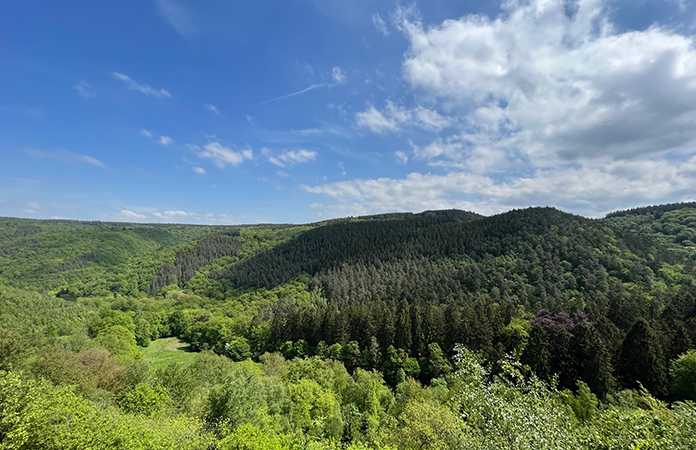 La promenade du Ninglinspo Belgique Ardennes belge région Spa