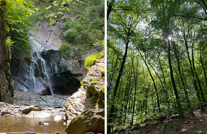 La promenade du Ninglinspo Belgique Ardennes belge région Spa