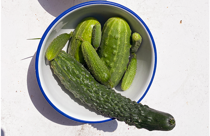 Cornichons