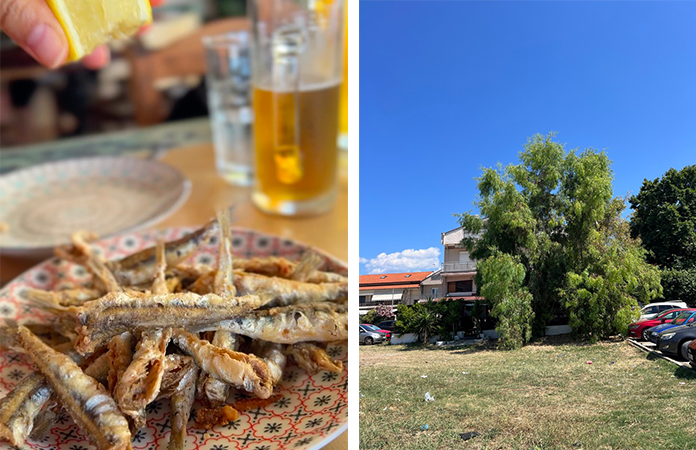 Lepiosos Ierissos halkidiki Grèce voyage