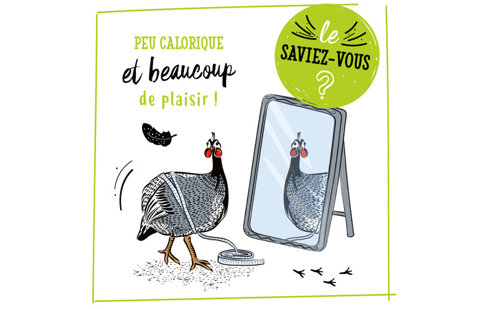 Pintade calories