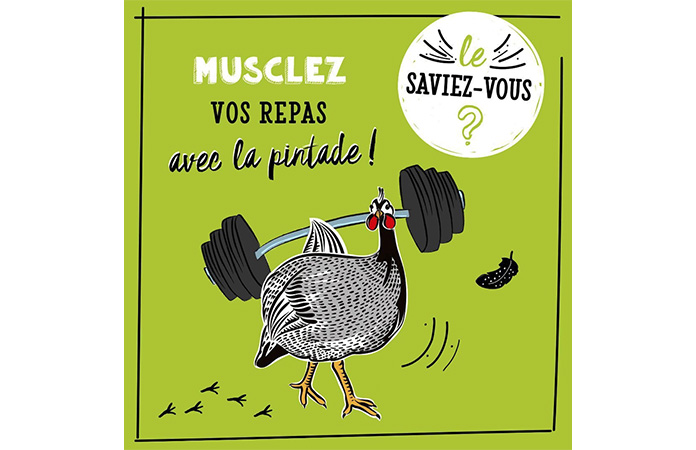 pintade musclée