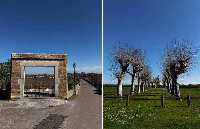 Clos de Vougeot Bourgogne France