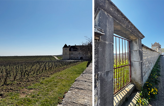 Clos de Vougeot Bourgogne France