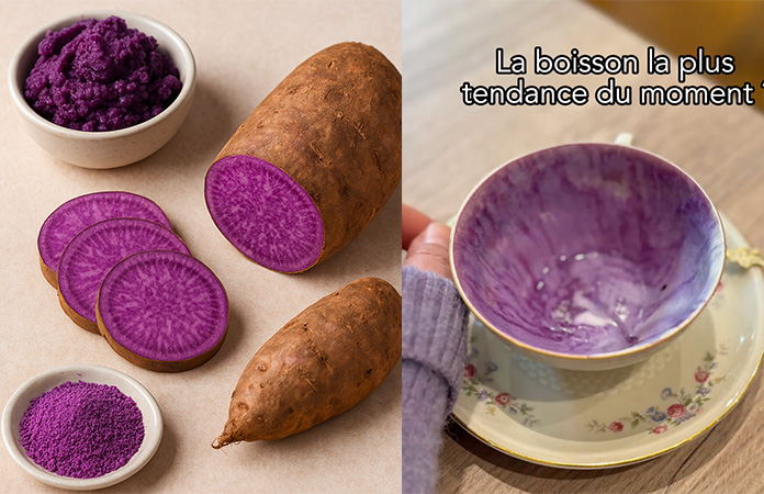 Qu’est-ce que l’ube ?