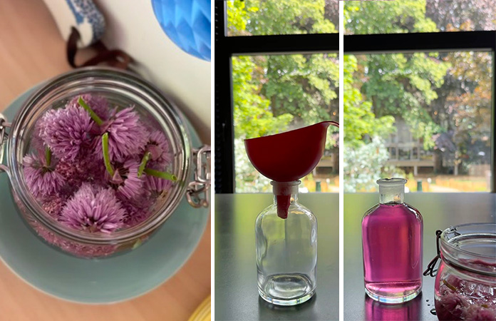 préparation vinaigre aux fleurs de ciboulette