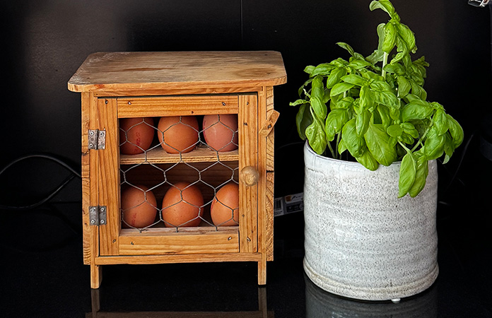 astuce oeufs frais