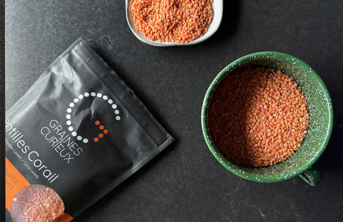 Des lentilles cultivées en Belgique