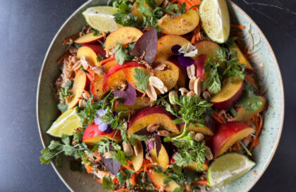 Salade de nouilles froide au poulet, nectarines et sauce cacahuète
