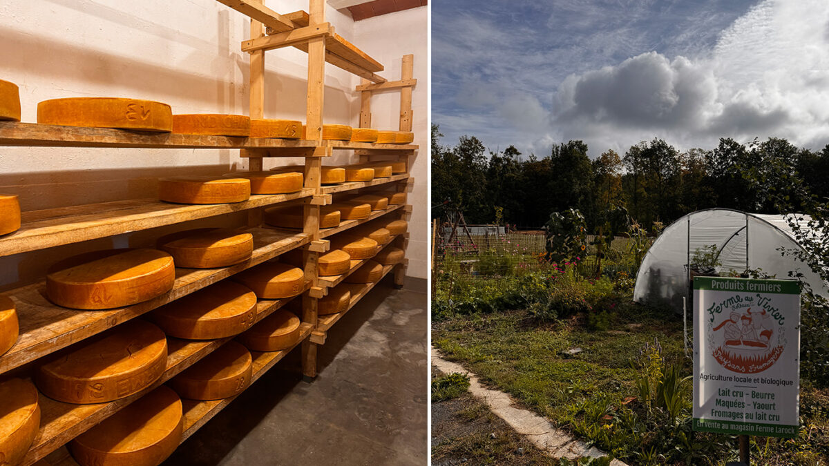 Visite de la ferme au Vivier et des fromages de chez nous