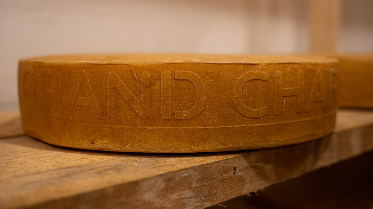 Visite de la ferme au Vivier et des fromages de chez nous