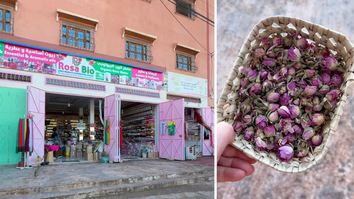 Valee Rose roadtrip maroc